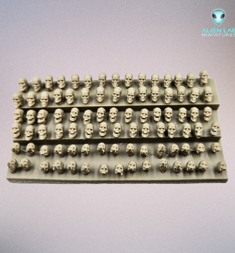 Human skulls 28mm Scatter Terrain for Wargaming, RPG Miniatures, Fantasy Dioramas, Tabletop Accessories