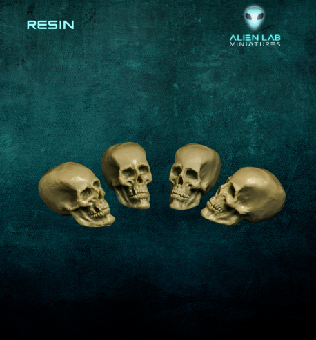 BIG SKULLS #2