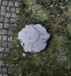 product-small-1