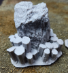 product-small-1